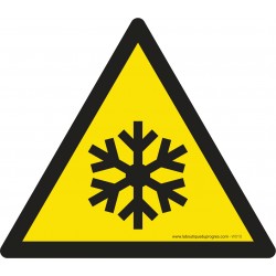 Pictogramme Danger conditions de gel W010